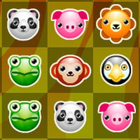 Pet Party Columns